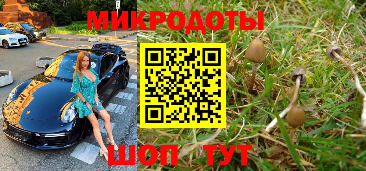 Галлюциногенные грибы мицелий Еманжелинск
